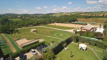 Tenuta Torciano