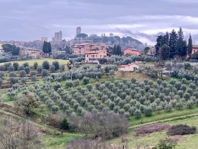 Podere La Marronaia - Biodynamic Winery & Farm