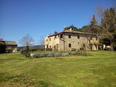 Fattoria Il Piano