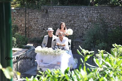 Capri Wedding