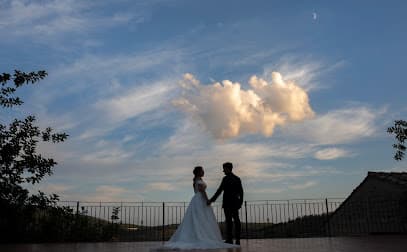Wedding photographer Taormina