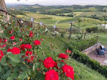 Fattoria Poggio Alloro