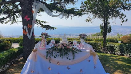 Rosanna Vitiello - Events & Weddings