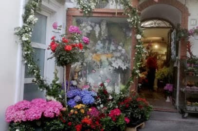Capri Flor di Domenico Ruggiero e C. Snc