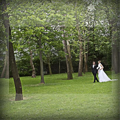 WEDDING PLANNER VENICE