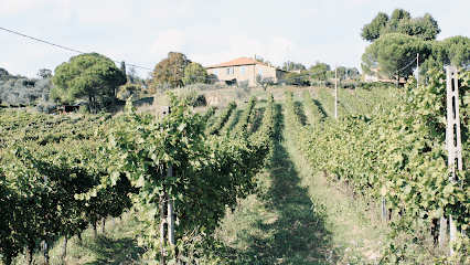Tenuta Di Freddano