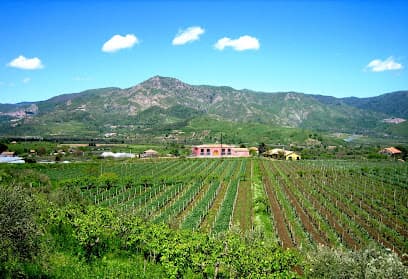 Tenuta delle Terre Nere Winery