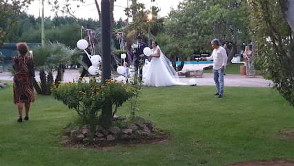 The Peacock Garden