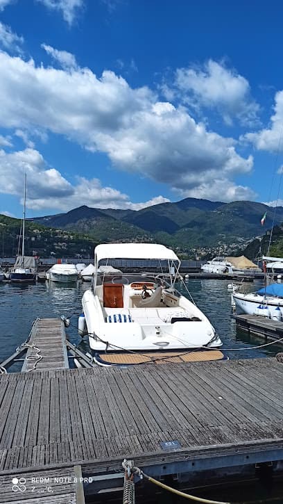 Alduomoboats