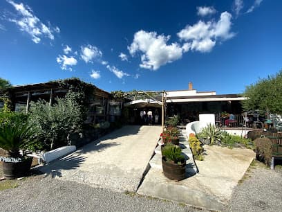 Cantina Del Vesuvio Winery Russo Family since 1930