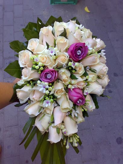Euro Fiori Sorrento