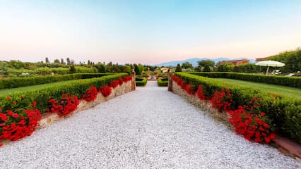 Villa Daniela Grossi - Wedding venue in Tuscany
