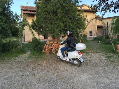 Bellini Bruno Rental
