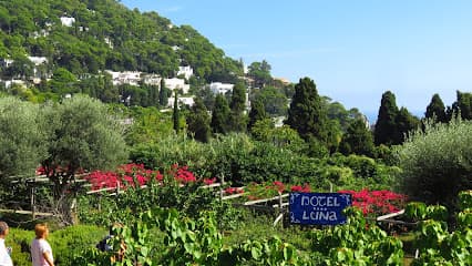 Giardini di Augusto
