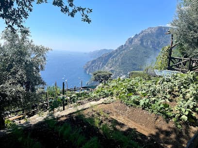 La Tagliata