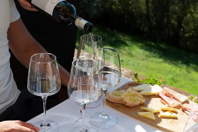 Vernaccia di San Gimignano Wine Experience La Rocca