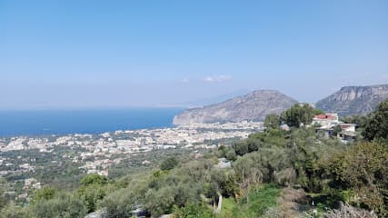 wedding italy service