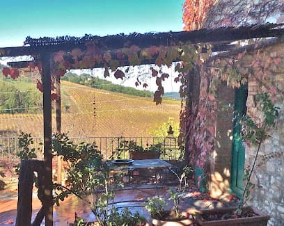 Tuscan Wine Tours With Angie