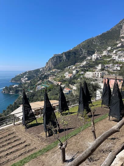 Amalfi Heaven Gardens - Cooking Class in the Amalfi Coast