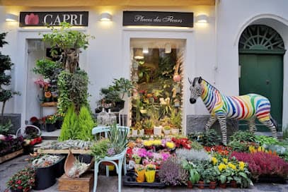 Capri Places des Fleurs