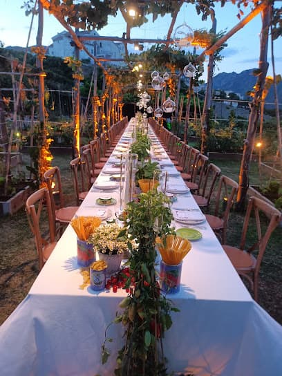 Ravello Wedding Flowers