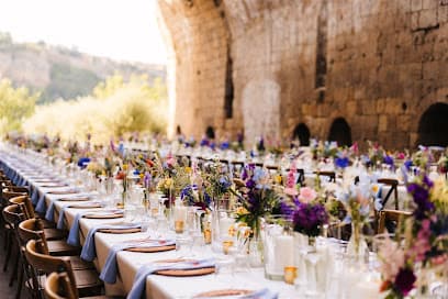 Distinctive Italy Weddings
