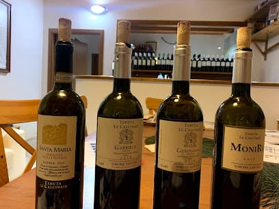 Tenuta Le Calcinaie