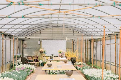 Olga’s Flower Farm
