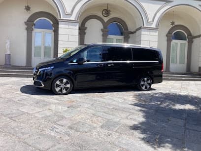 Driver Service Naples