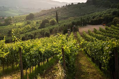 Belitaly Tours & Limo