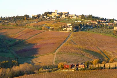 Tuscany by GC NCC - Florence Private Driver