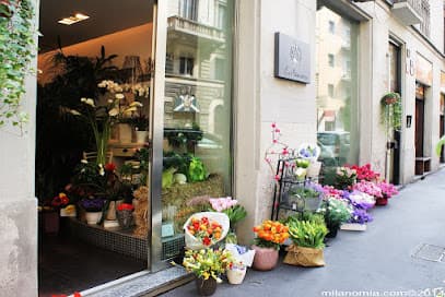 Spring Flowers