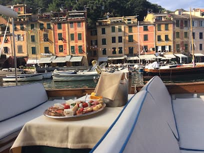 Portofino Taxi Boat