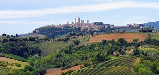 Fattoria Poggio Alloro