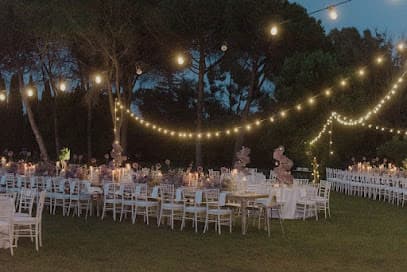 Wedding Made