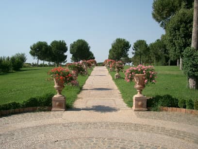 Casale T&A